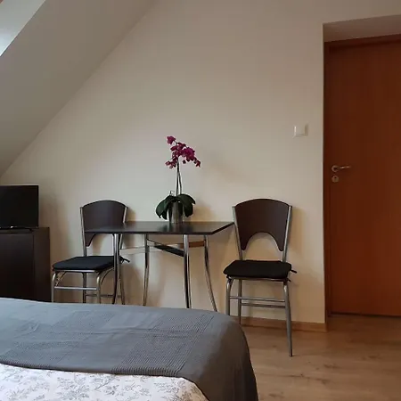 Willa Amber Apartment Krynica Zdroj